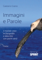 Immagini e Parole
