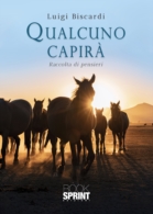 Qualcuno capirà