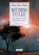 Notturno d'estate